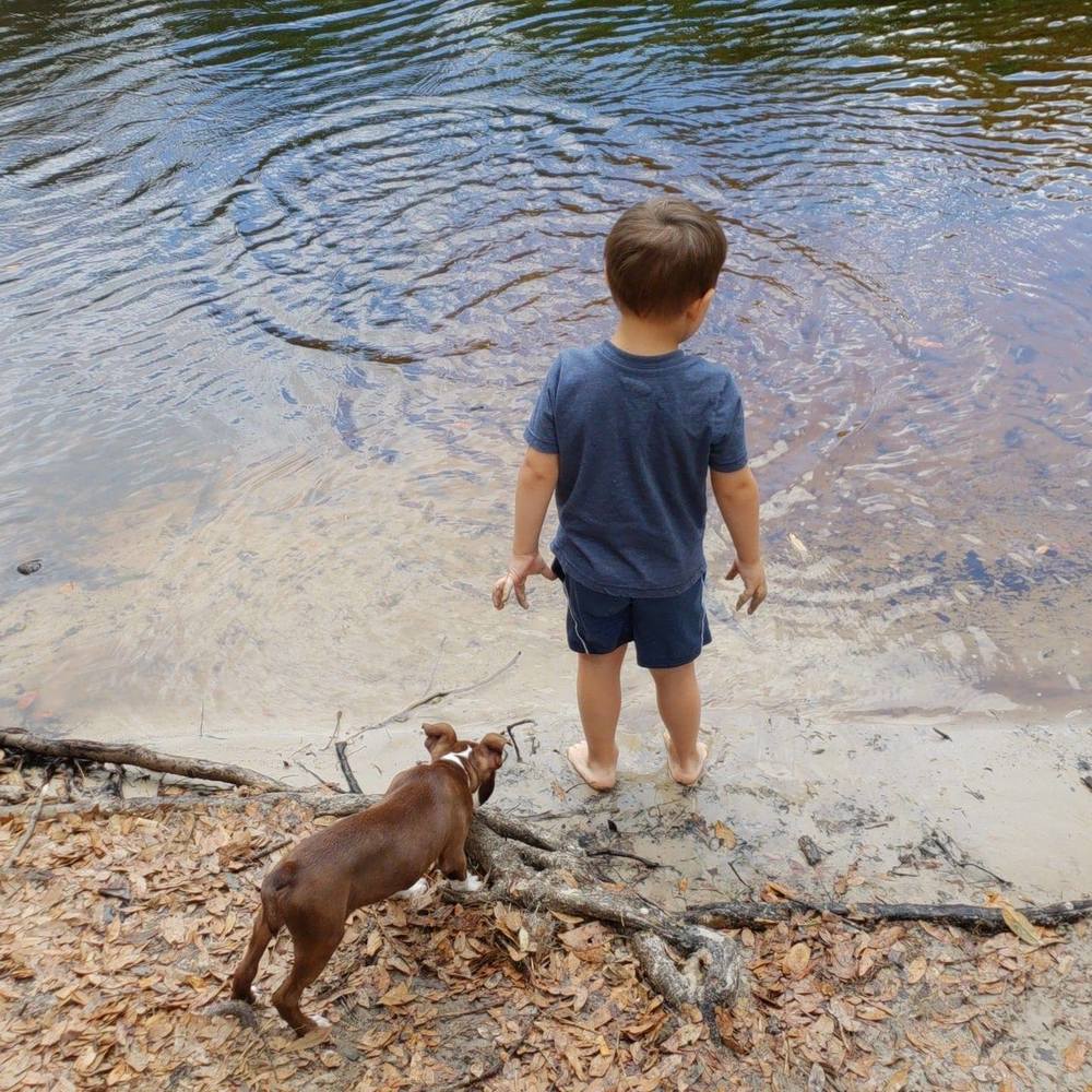 Meet your Posher, Tiffanie